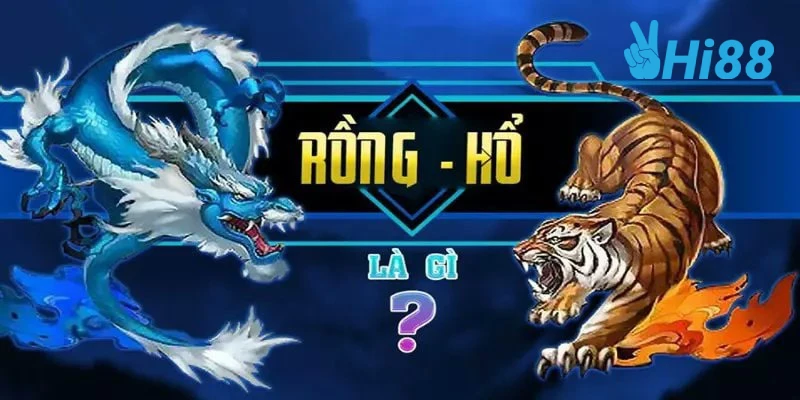 Cách Chơi Rồng Hổ Ăn Đậm Tiền Thưởng Cho Tân Binh nhung dieu co ban ve game bai Rong ho la gi cach choi rong ho