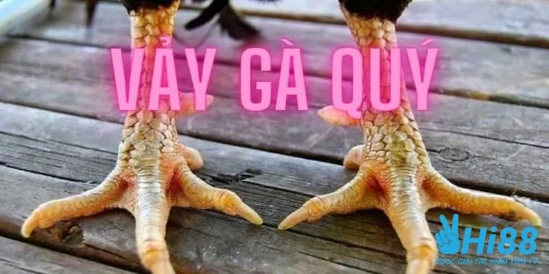 Vảy Gà Quý Có Ý Nghĩa Gì Và Có Những Loại Nào Hiện Nay?