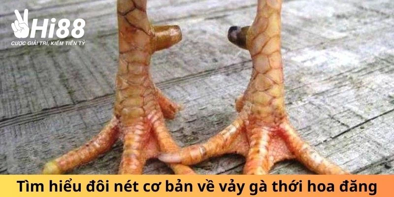 Vảy Thới Hoa Đăng - Biểu Tượng Của Sự May Mắn, Mạnh Mẽ